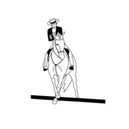 Working Equitation Academy USA